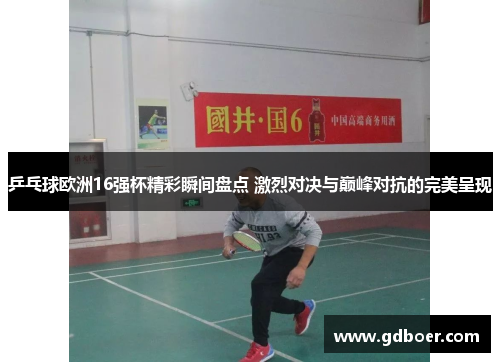 乒乓球欧洲16强杯精彩瞬间盘点 激烈对决与巅峰对抗的完美呈现