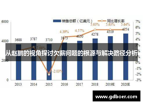 从赵鹏的视角探讨欠薪问题的根源与解决路径分析
