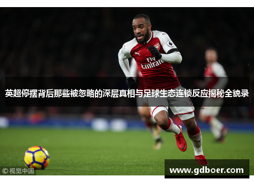 英超停摆背后那些被忽略的深层真相与足球生态连锁反应揭秘全貌录