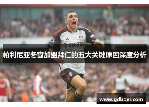 帕利尼亚冬窗加盟拜仁的五大关键原因深度分析 帕利尼亚冬窗加盟拜仁的五大关键原因深度分析