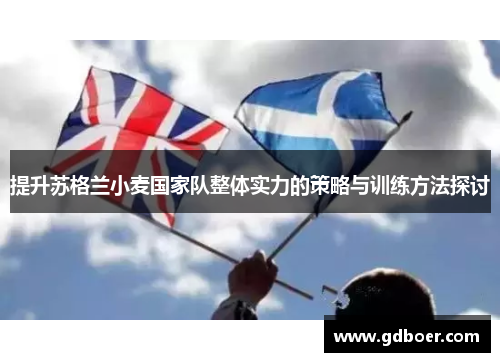 提升苏格兰小麦国家队整体实力的策略与训练方法探讨